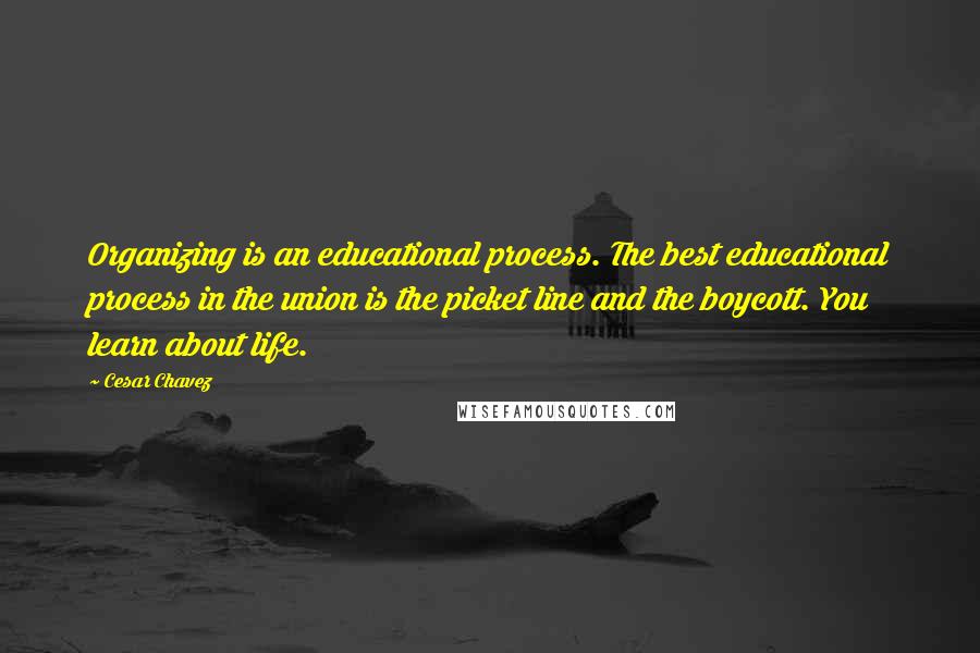 Cesar Chavez Quotes: Organizing is an educational process. The best educational process in the union is the picket line and the boycott. You learn about life.