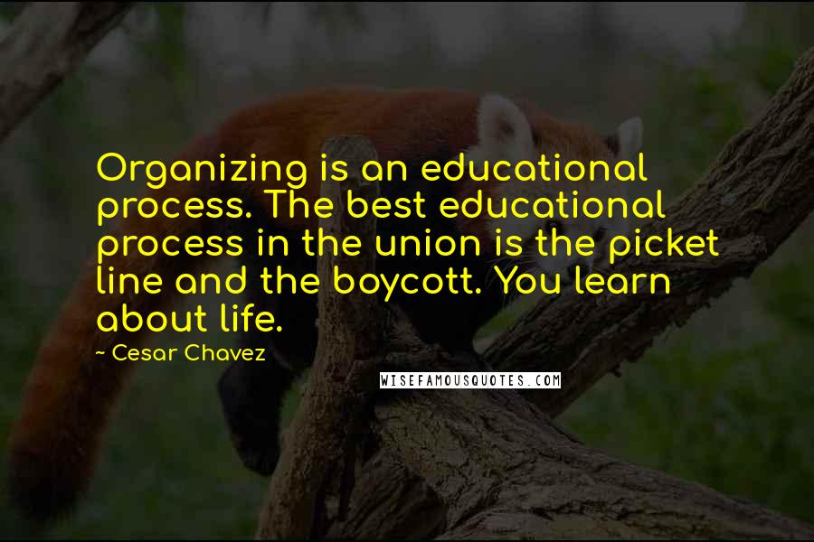 Cesar Chavez Quotes: Organizing is an educational process. The best educational process in the union is the picket line and the boycott. You learn about life.