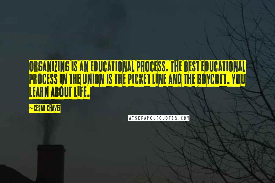 Cesar Chavez Quotes: Organizing is an educational process. The best educational process in the union is the picket line and the boycott. You learn about life.