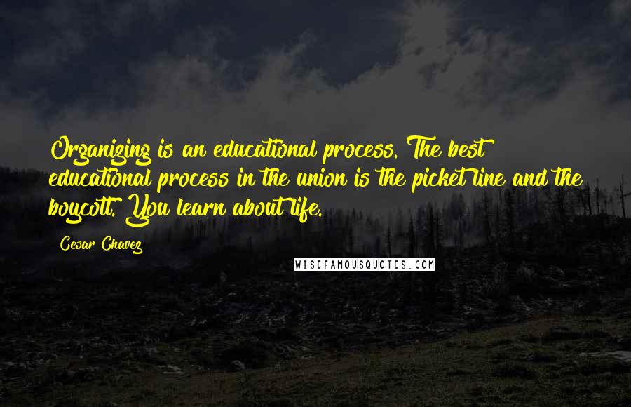 Cesar Chavez Quotes: Organizing is an educational process. The best educational process in the union is the picket line and the boycott. You learn about life.