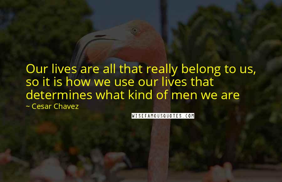 Cesar Chavez Quotes: Our lives are all that really belong to us, so it is how we use our lives that determines what kind of men we are