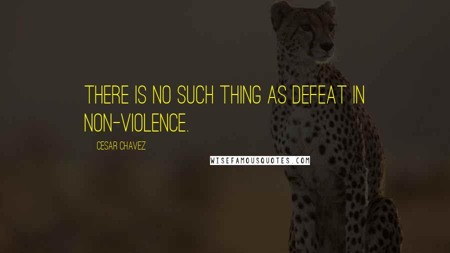 Cesar Chavez Quotes: There is no such thing as defeat in non-violence.