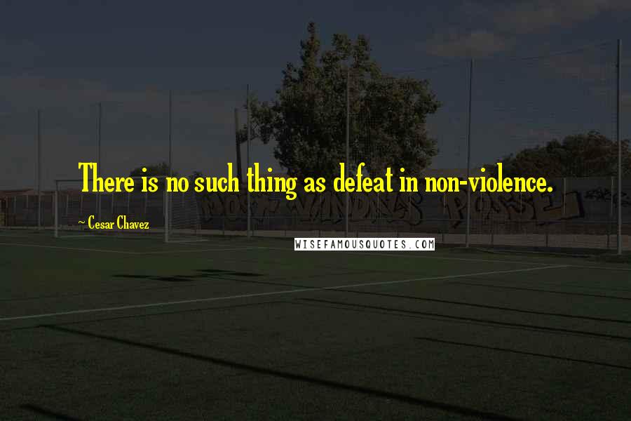 Cesar Chavez Quotes: There is no such thing as defeat in non-violence.