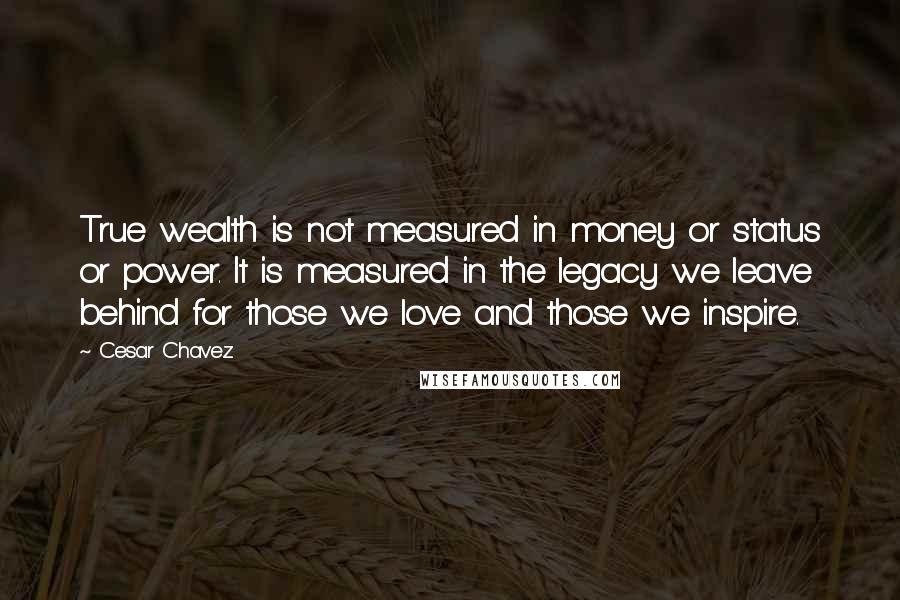 Cesar Chavez Quotes: True wealth is not measured in money or status or power. It is measured in the legacy we leave behind for those we love and those we inspire.