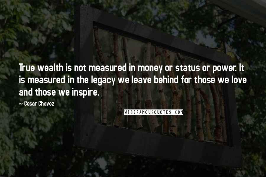 Cesar Chavez Quotes: True wealth is not measured in money or status or power. It is measured in the legacy we leave behind for those we love and those we inspire.