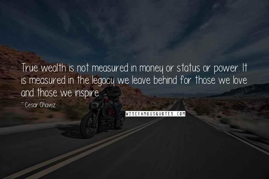 Cesar Chavez Quotes: True wealth is not measured in money or status or power. It is measured in the legacy we leave behind for those we love and those we inspire.