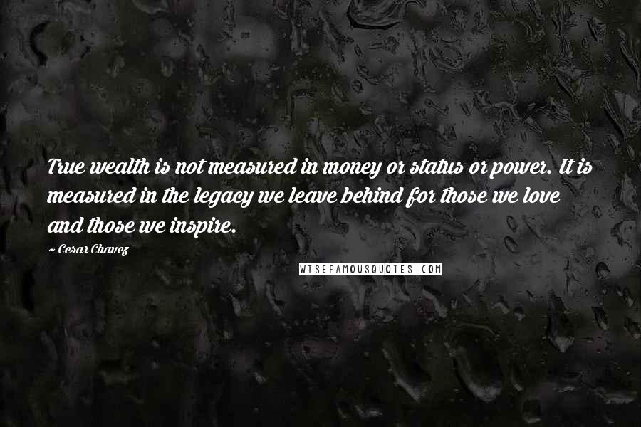 Cesar Chavez Quotes: True wealth is not measured in money or status or power. It is measured in the legacy we leave behind for those we love and those we inspire.