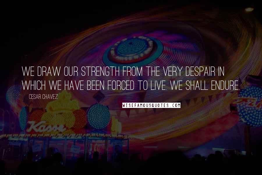 Cesar Chavez Quotes: We draw our strength from the very despair in which we have been forced to live. We shall endure.