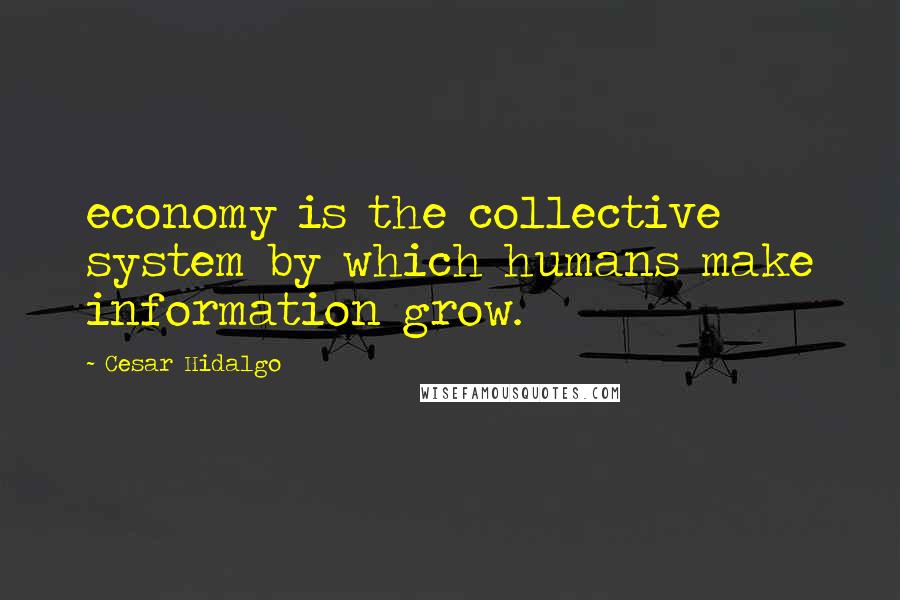 Cesar Hidalgo Quotes: economy is the collective system by which humans make information grow.