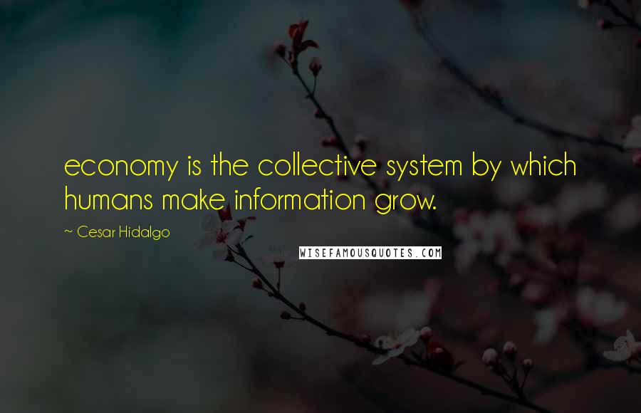 Cesar Hidalgo Quotes: economy is the collective system by which humans make information grow.