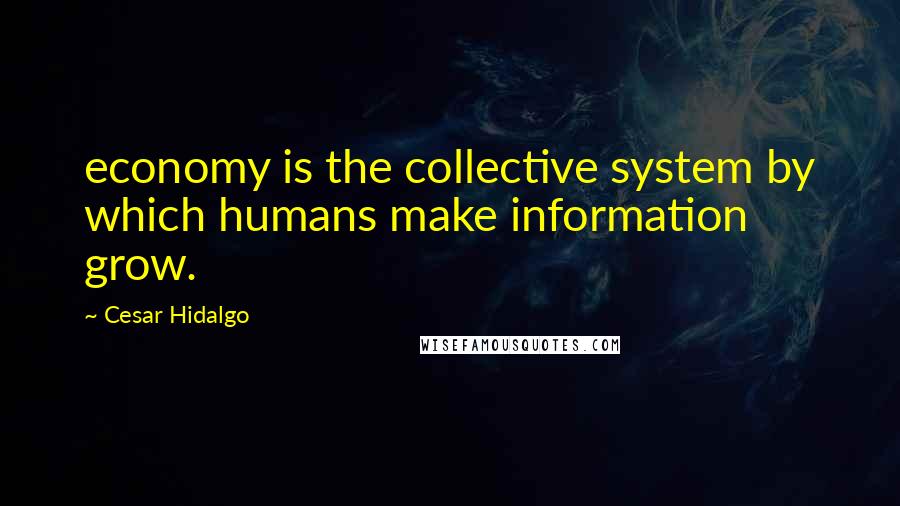 Cesar Hidalgo Quotes: economy is the collective system by which humans make information grow.