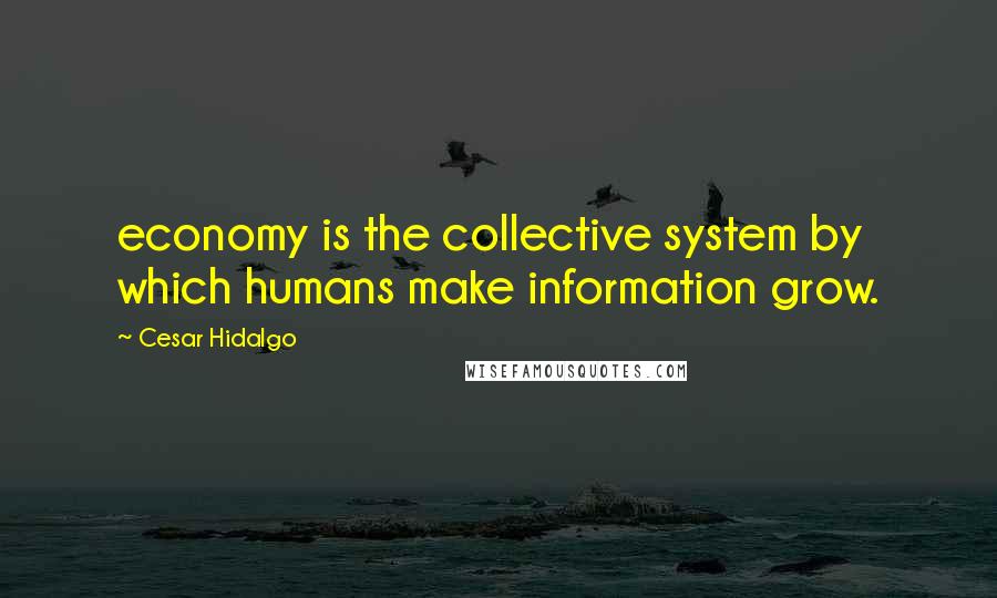 Cesar Hidalgo Quotes: economy is the collective system by which humans make information grow.