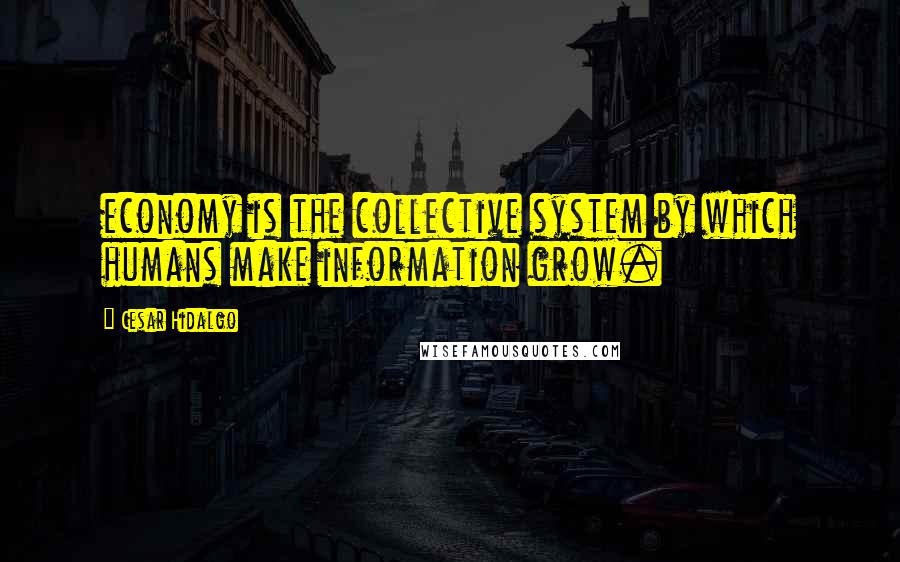 Cesar Hidalgo Quotes: economy is the collective system by which humans make information grow.