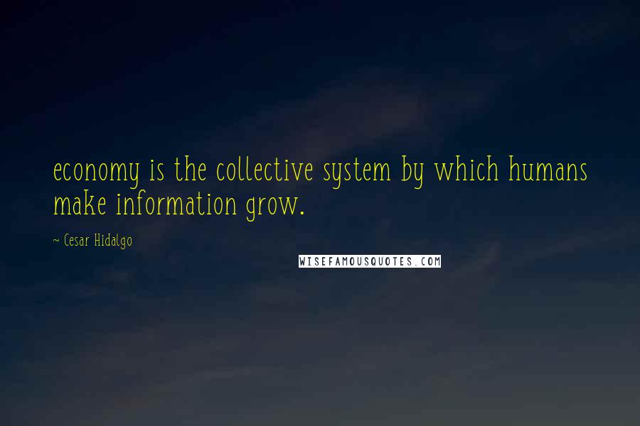 Cesar Hidalgo Quotes: economy is the collective system by which humans make information grow.