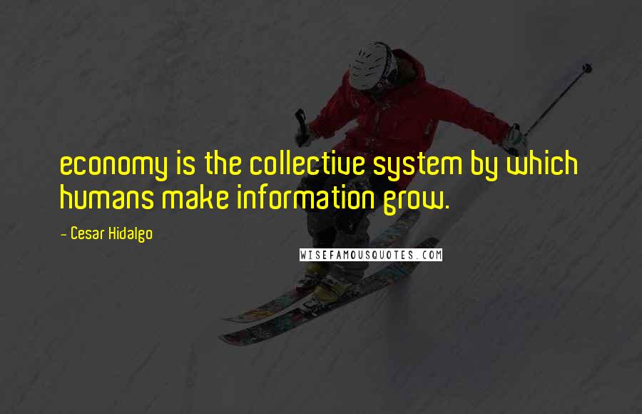 Cesar Hidalgo Quotes: economy is the collective system by which humans make information grow.