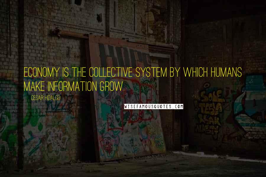 Cesar Hidalgo Quotes: economy is the collective system by which humans make information grow.