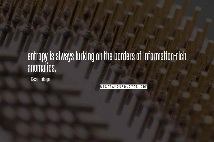 Cesar Hidalgo Quotes: entropy is always lurking on the borders of information-rich anomalies,