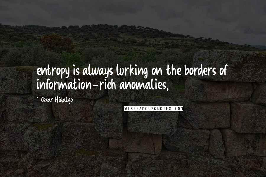 Cesar Hidalgo Quotes: entropy is always lurking on the borders of information-rich anomalies,