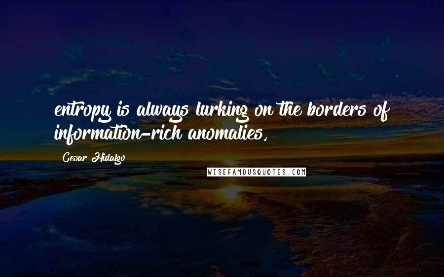 Cesar Hidalgo Quotes: entropy is always lurking on the borders of information-rich anomalies,