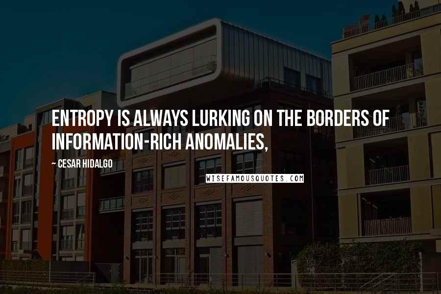 Cesar Hidalgo Quotes: entropy is always lurking on the borders of information-rich anomalies,