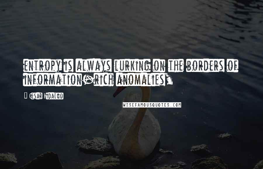 Cesar Hidalgo Quotes: entropy is always lurking on the borders of information-rich anomalies,