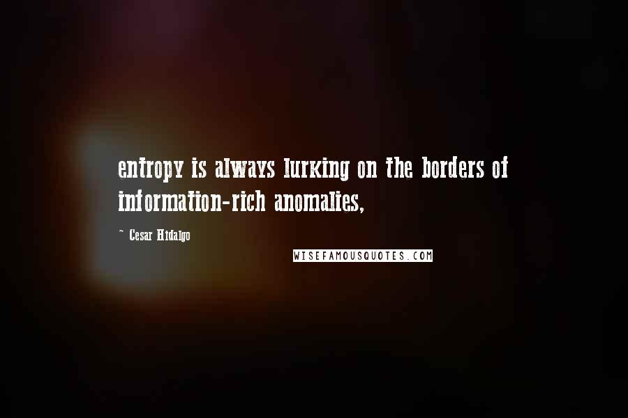 Cesar Hidalgo Quotes: entropy is always lurking on the borders of information-rich anomalies,