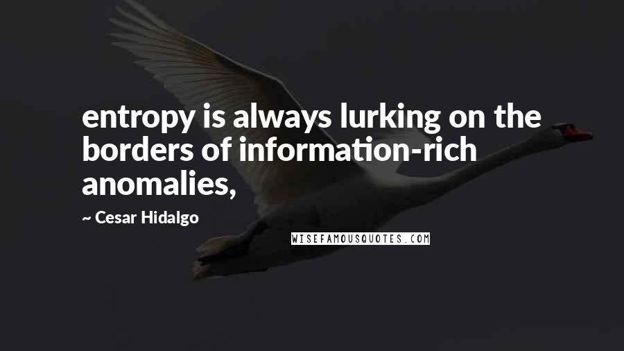 Cesar Hidalgo Quotes: entropy is always lurking on the borders of information-rich anomalies,