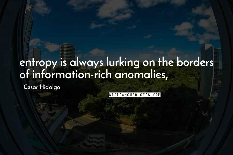 Cesar Hidalgo Quotes: entropy is always lurking on the borders of information-rich anomalies,