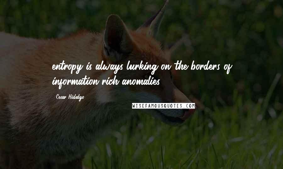 Cesar Hidalgo Quotes: entropy is always lurking on the borders of information-rich anomalies,