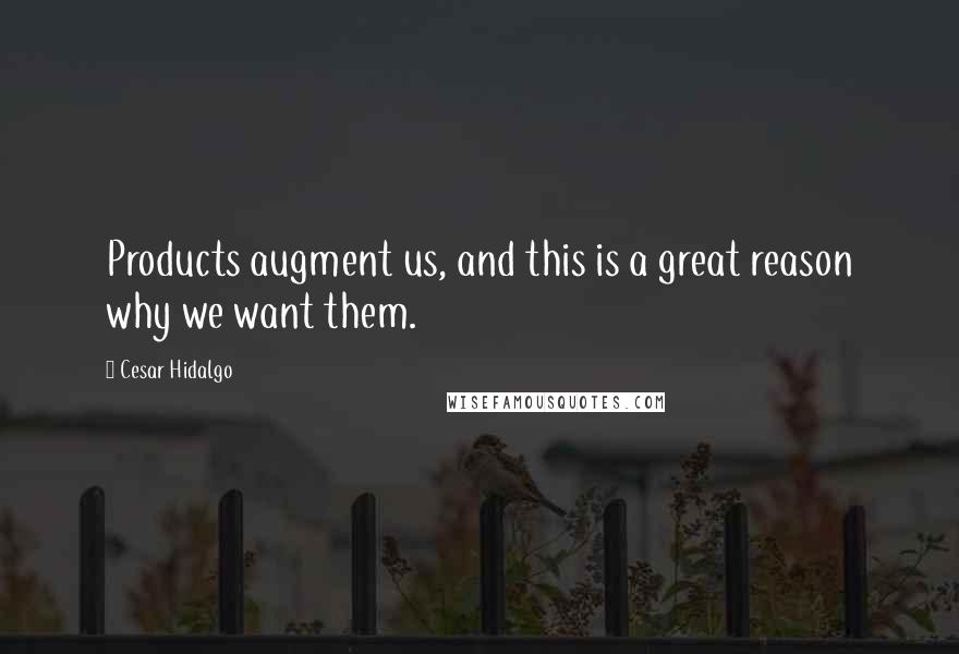 Cesar Hidalgo Quotes: Products augment us, and this is a great reason why we want them.