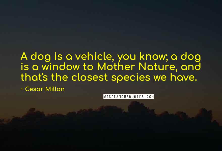 Cesar Millan Quotes: A dog is a vehicle, you know; a dog is a window to Mother Nature, and that's the closest species we have.