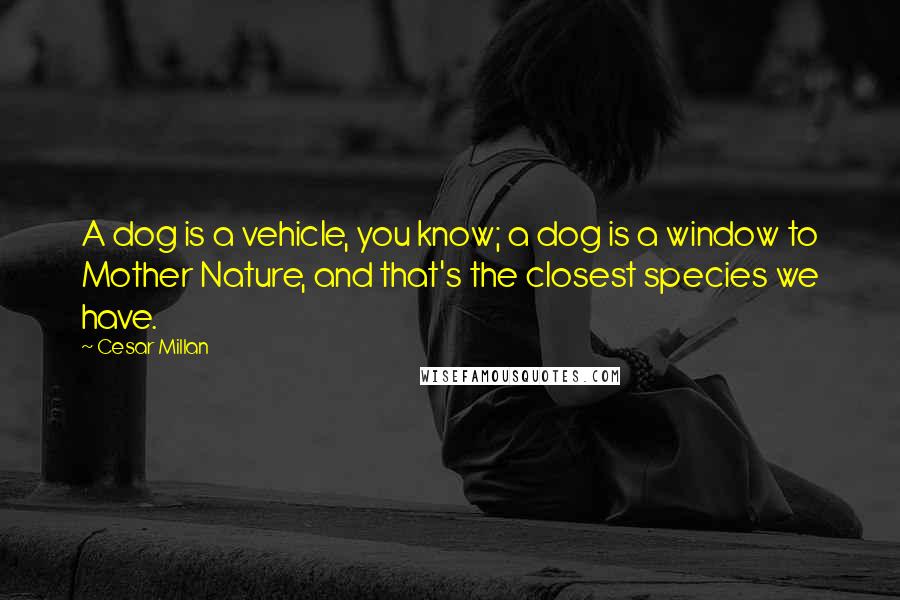 Cesar Millan Quotes: A dog is a vehicle, you know; a dog is a window to Mother Nature, and that's the closest species we have.