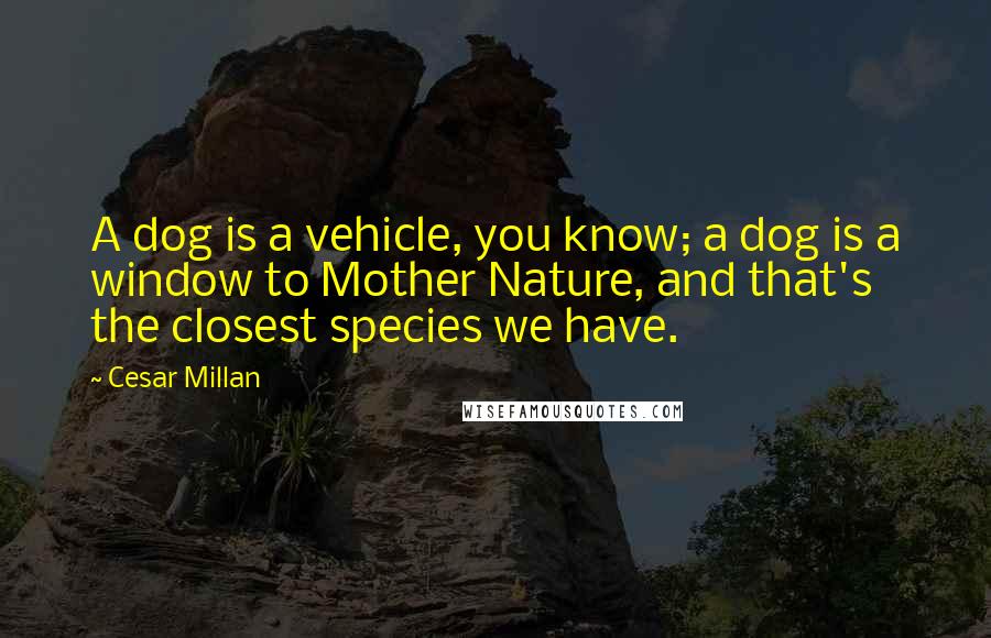 Cesar Millan Quotes: A dog is a vehicle, you know; a dog is a window to Mother Nature, and that's the closest species we have.