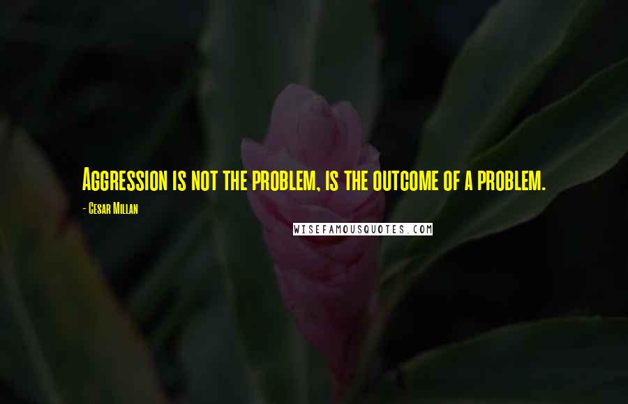 Cesar Millan Quotes: Aggression is not the problem, is the outcome of a problem.