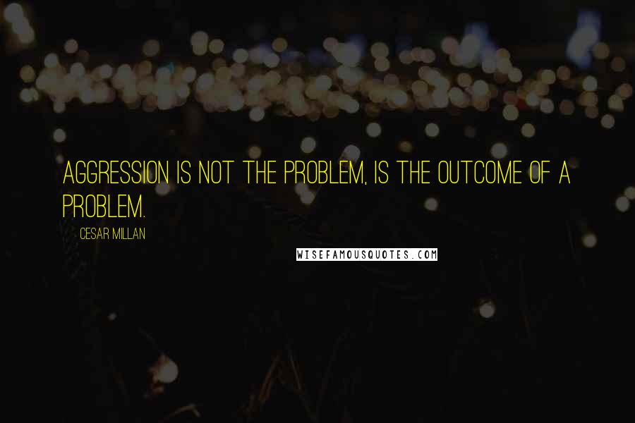 Cesar Millan Quotes: Aggression is not the problem, is the outcome of a problem.