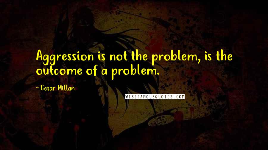Cesar Millan Quotes: Aggression is not the problem, is the outcome of a problem.