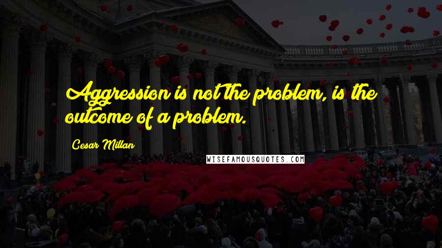 Cesar Millan Quotes: Aggression is not the problem, is the outcome of a problem.