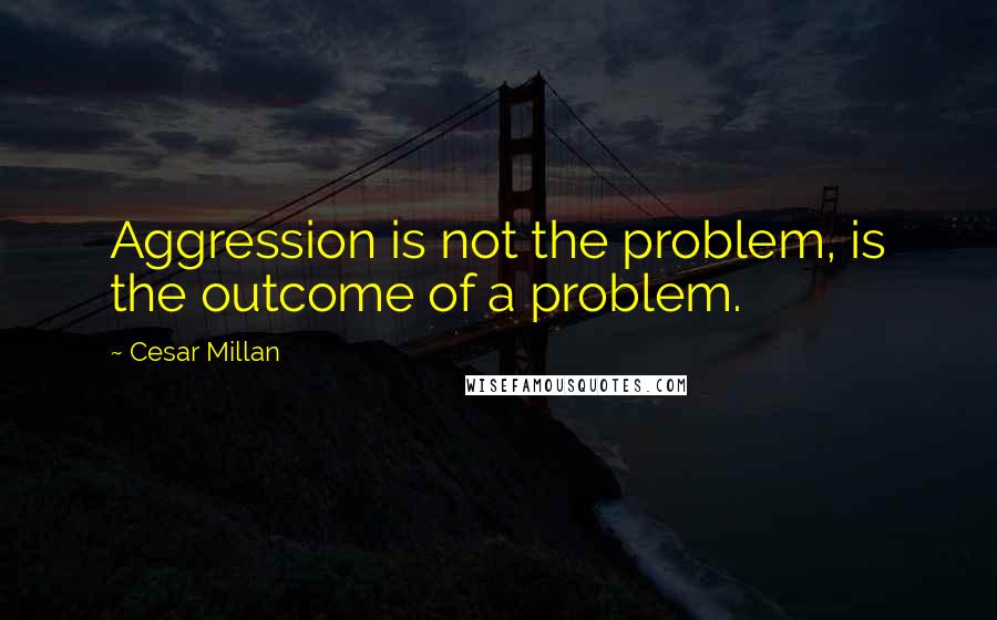 Cesar Millan Quotes: Aggression is not the problem, is the outcome of a problem.