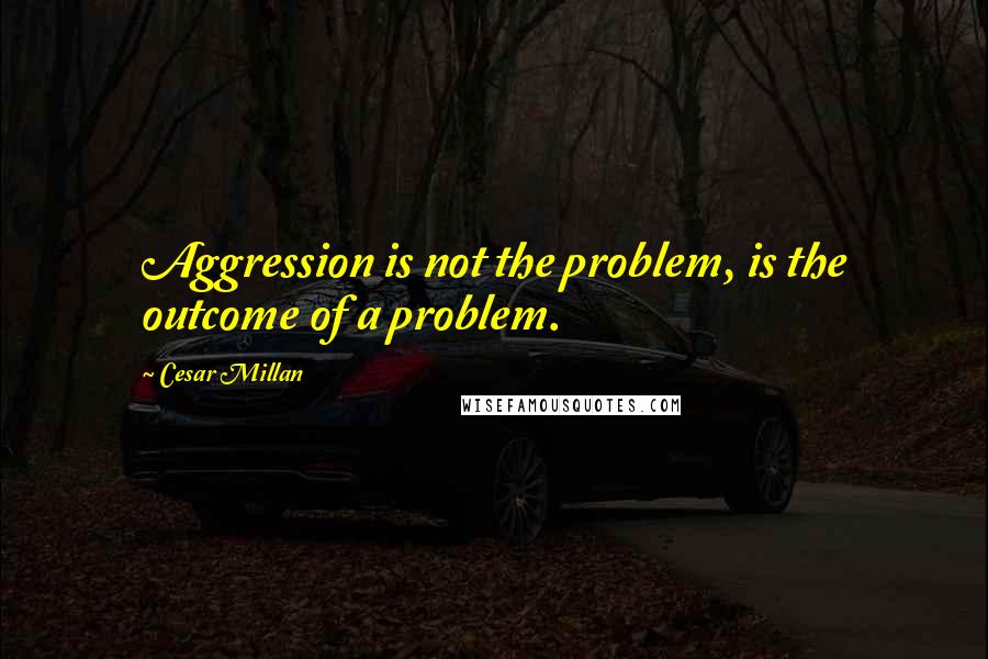 Cesar Millan Quotes: Aggression is not the problem, is the outcome of a problem.