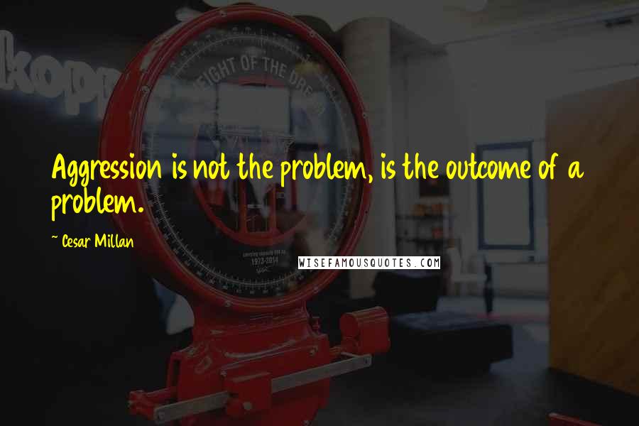 Cesar Millan Quotes: Aggression is not the problem, is the outcome of a problem.