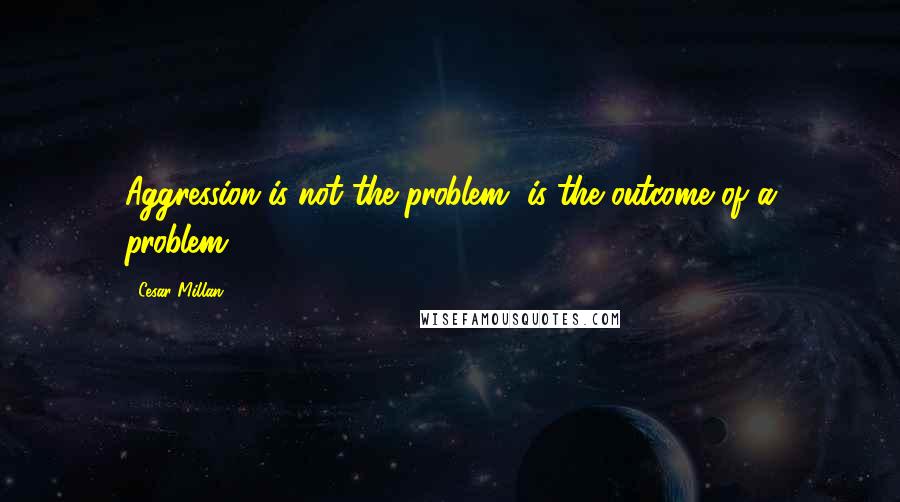 Cesar Millan Quotes: Aggression is not the problem, is the outcome of a problem.