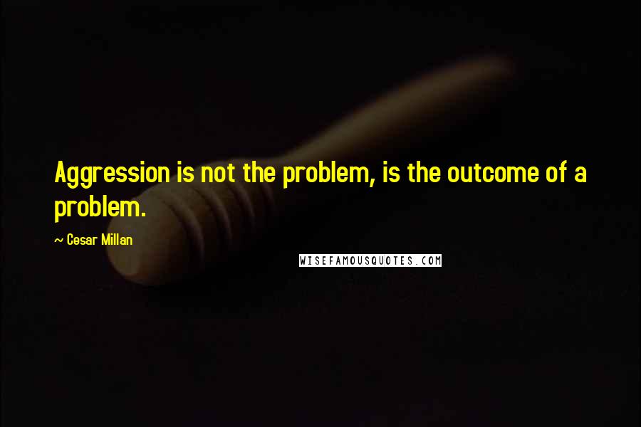 Cesar Millan Quotes: Aggression is not the problem, is the outcome of a problem.