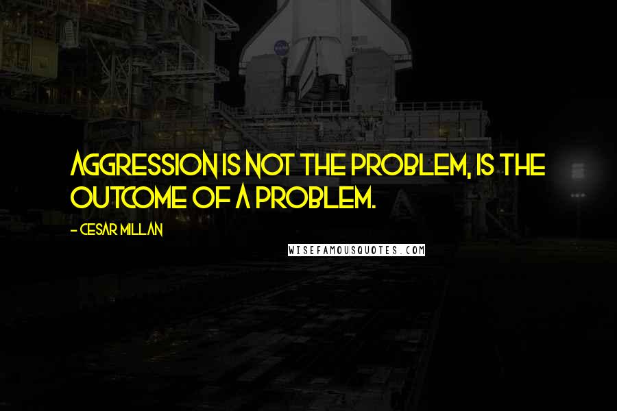 Cesar Millan Quotes: Aggression is not the problem, is the outcome of a problem.