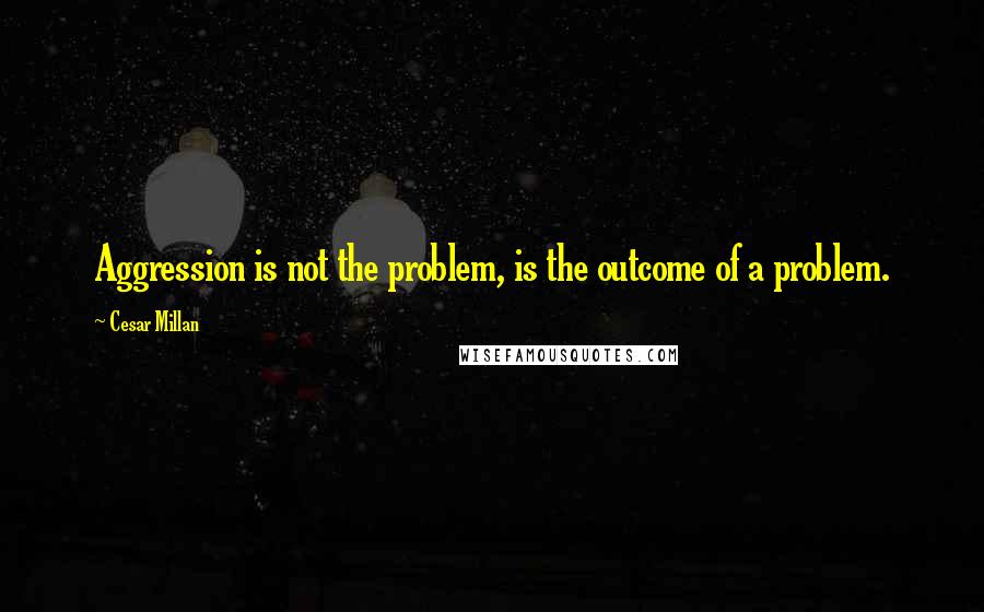 Cesar Millan Quotes: Aggression is not the problem, is the outcome of a problem.