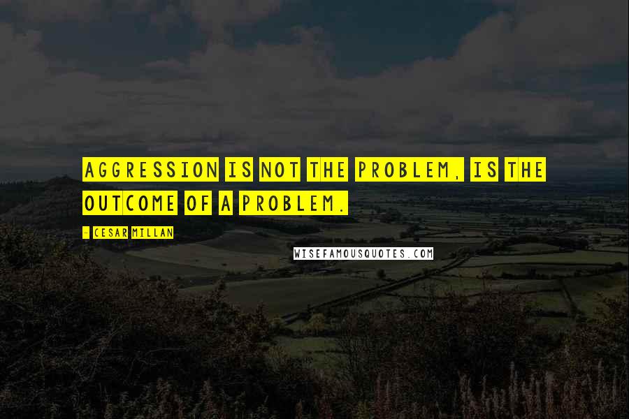 Cesar Millan Quotes: Aggression is not the problem, is the outcome of a problem.