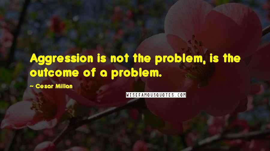 Cesar Millan Quotes: Aggression is not the problem, is the outcome of a problem.