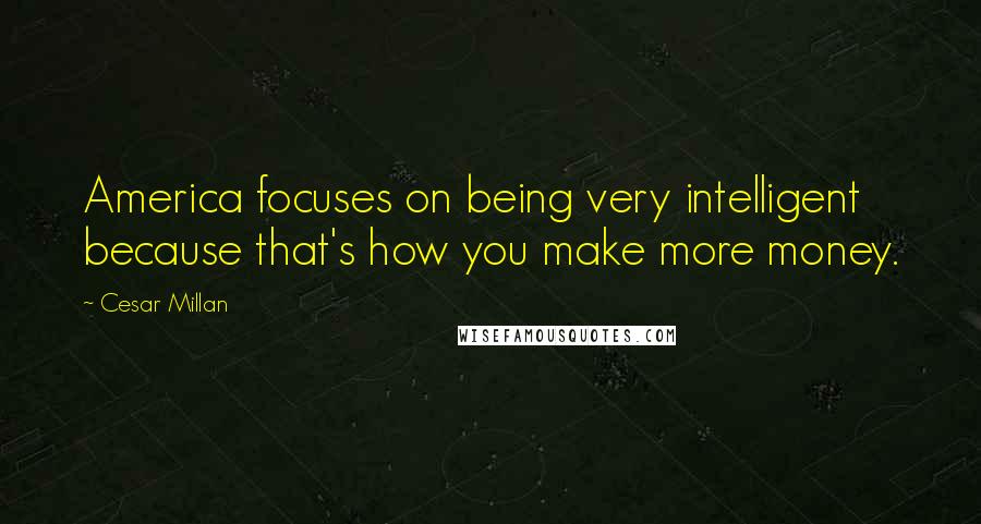 Cesar Millan Quotes: America focuses on being very intelligent because that's how you make more money.