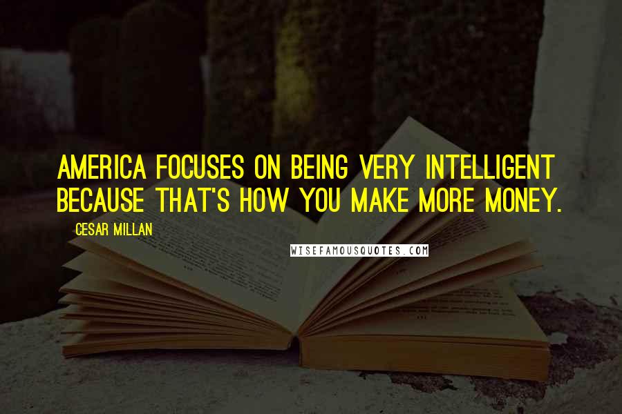 Cesar Millan Quotes: America focuses on being very intelligent because that's how you make more money.