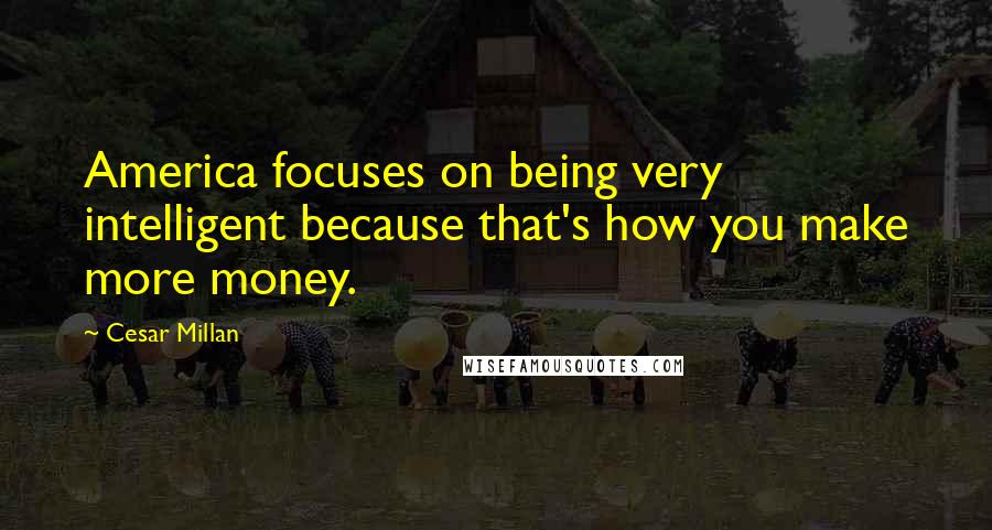 Cesar Millan Quotes: America focuses on being very intelligent because that's how you make more money.