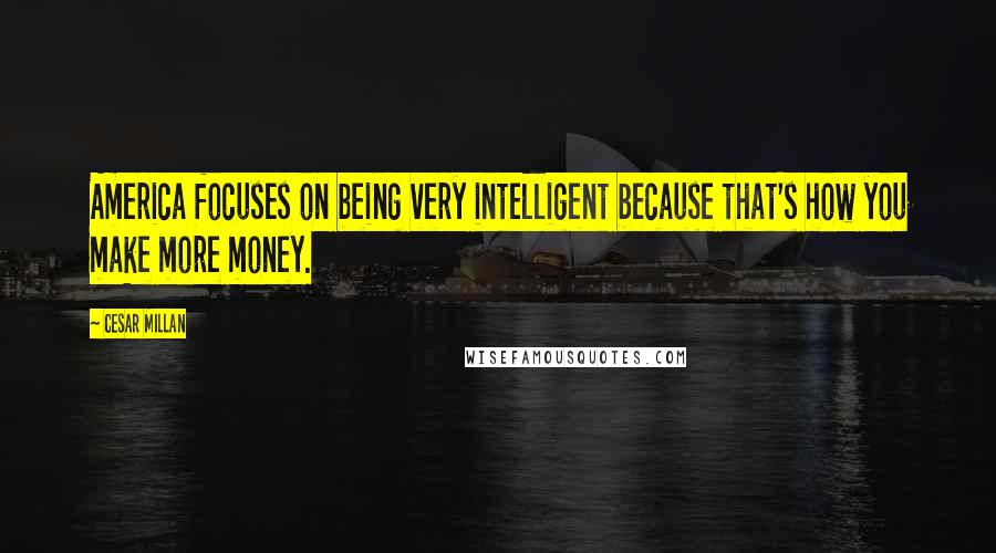 Cesar Millan Quotes: America focuses on being very intelligent because that's how you make more money.